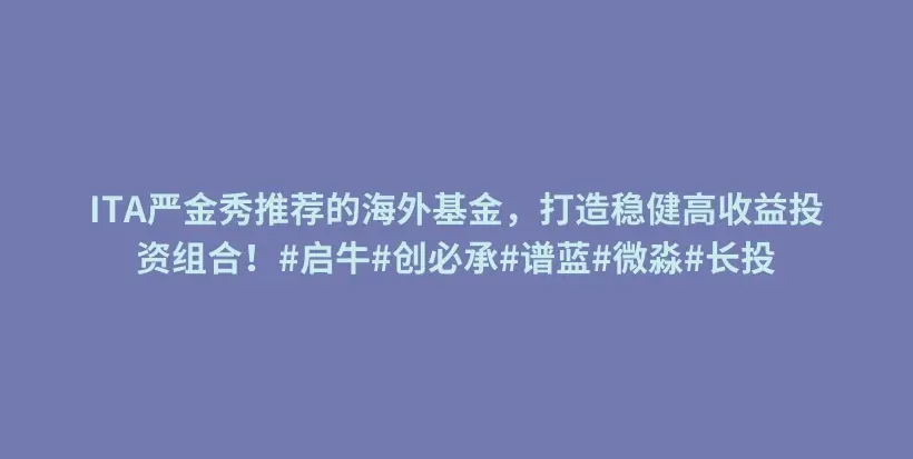 ITA严金秀推荐的海外基金，打造稳健高收益投资组合！#启牛#创必承#谱蓝#微淼#长投插图