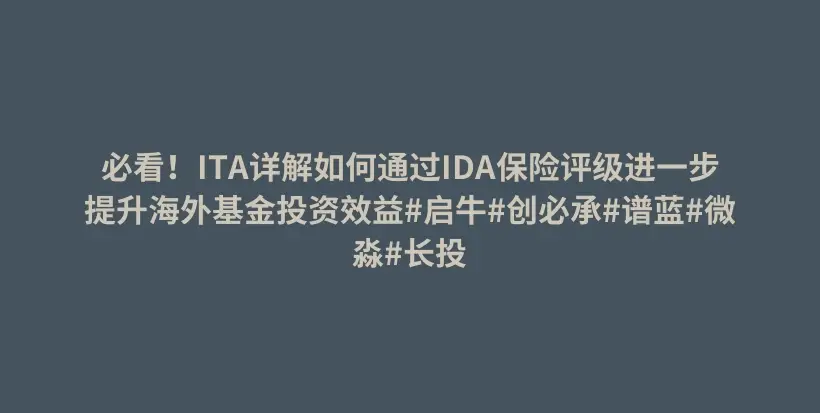 必看！ITA详解如何通过IDA保险评级进一步提升海外基金投资效益#启牛#创必承#谱蓝#微淼#长投插图