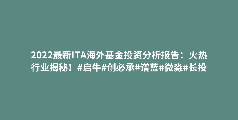 2022最新ITA海外基金投资分析报告：火热行业揭秘！#启牛#创必承#谱蓝#微淼#长投插图