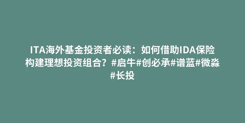 ITA海外基金投资者必读：如何借助IDA保险构建理想投资组合？#启牛#创必承#谱蓝#微淼#长投插图