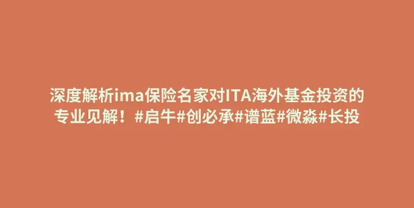 深度解析ima保险名家对ITA海外基金投资的专业见解！#启牛#创必承#谱蓝#微淼#长投插图