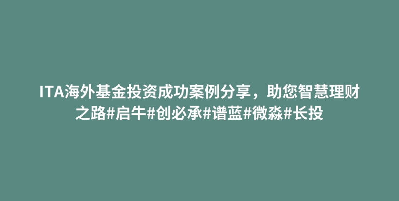 ITA海外基金投资成功案例分享，助您智慧理财之路#启牛#创必承#谱蓝#微淼#长投插图