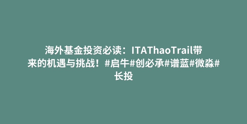 海外基金投资必读：ITAThaoTrail带来的机遇与挑战！#启牛#创必承#谱蓝#微淼#长投插图