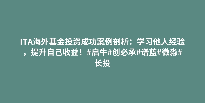 ITA海外基金投资成功案例剖析：学习他人经验，提升自己收益！#启牛#创必承#谱蓝#微淼#长投插图