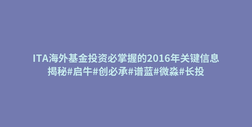 ITA海外基金投资必掌握的2016年关键信息揭秘#启牛#创必承#谱蓝#微淼#长投插图