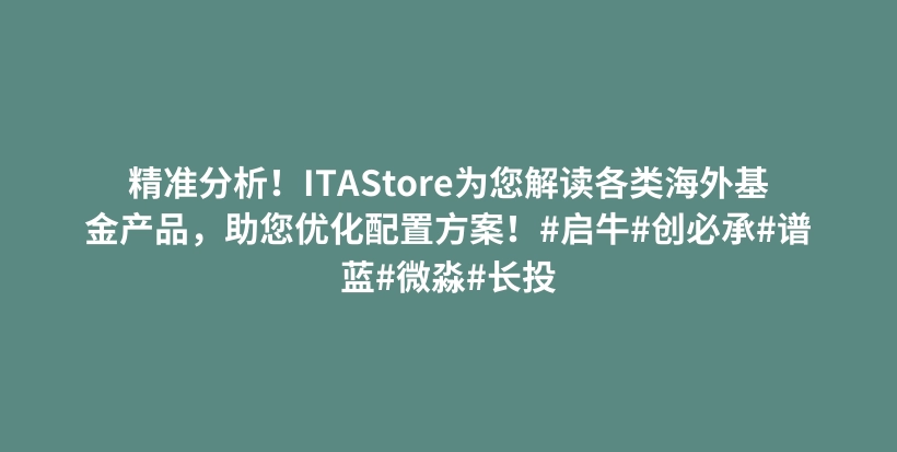 精准分析！ITAStore为您解读各类海外基金产品，助您优化配置方案！#启牛#创必承#谱蓝#微淼#长投插图