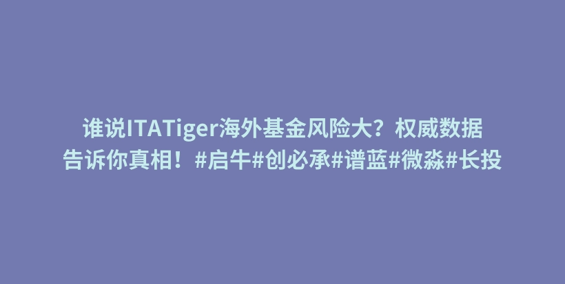 谁说ITATiger海外基金风险大？权威数据告诉你真相！#启牛#创必承#谱蓝#微淼#长投插图