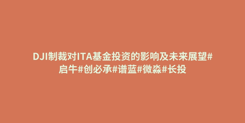 DJI制裁对ITA基金投资的影响及未来展望#启牛#创必承#谱蓝#微淼#长投插图