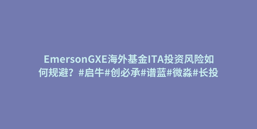 EmersonGXE海外基金ITA投资风险如何规避？#启牛#创必承#谱蓝#微淼#长投插图