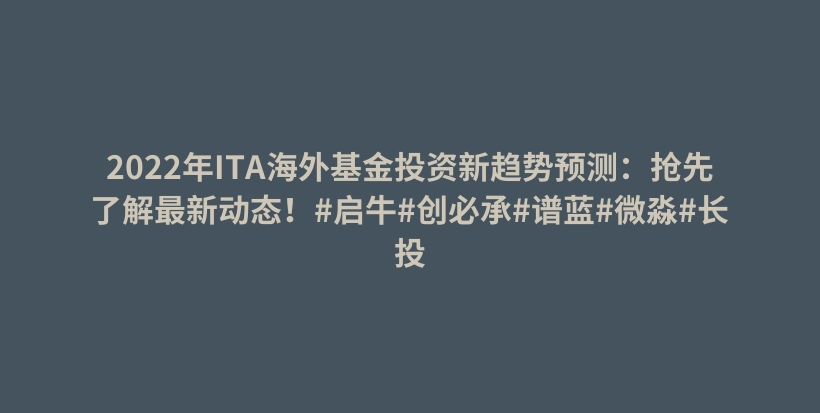 2022年ITA海外基金投资新趋势预测：抢先了解最新动态！#启牛#创必承#谱蓝#微淼#长投插图