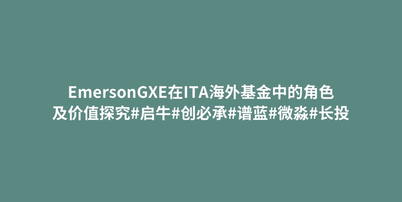 EmersonGXE在ITA海外基金中的角色及价值探究#启牛#创必承#谱蓝#微淼#长投插图