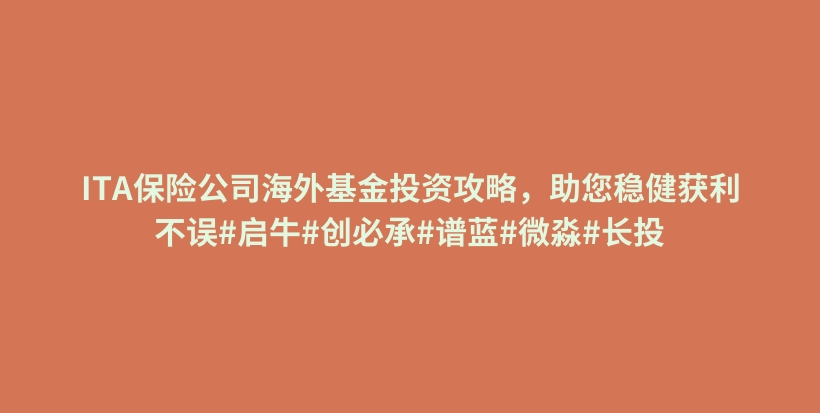 ITA保险公司海外基金投资攻略，助您稳健获利不误#启牛#创必承#谱蓝#微淼#长投插图