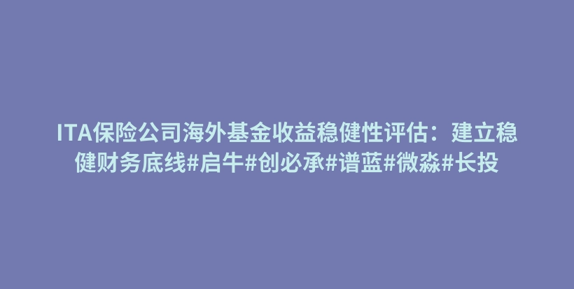 ITA保险公司海外基金收益稳健性评估：建立稳健财务底线#启牛#创必承#谱蓝#微淼#长投插图