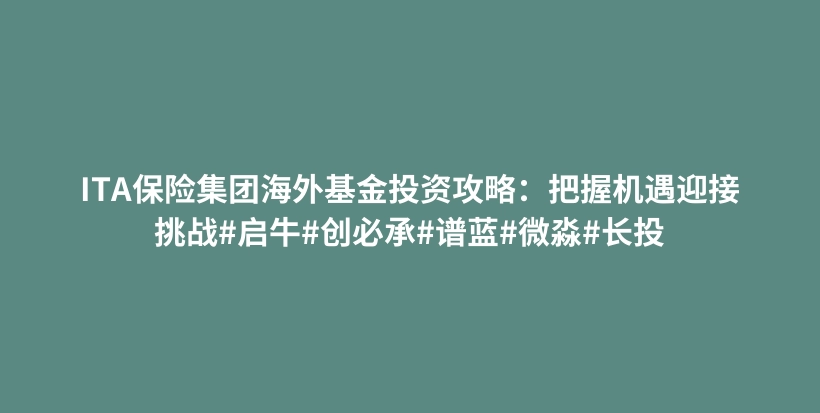 ITA保险集团海外基金投资攻略：把握机遇迎接挑战#启牛#创必承#谱蓝#微淼#长投插图