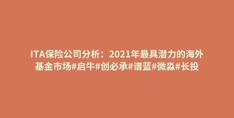 ITA保险公司分析：2021年最具潜力的海外基金市场#启牛#创必承#谱蓝#微淼#长投插图