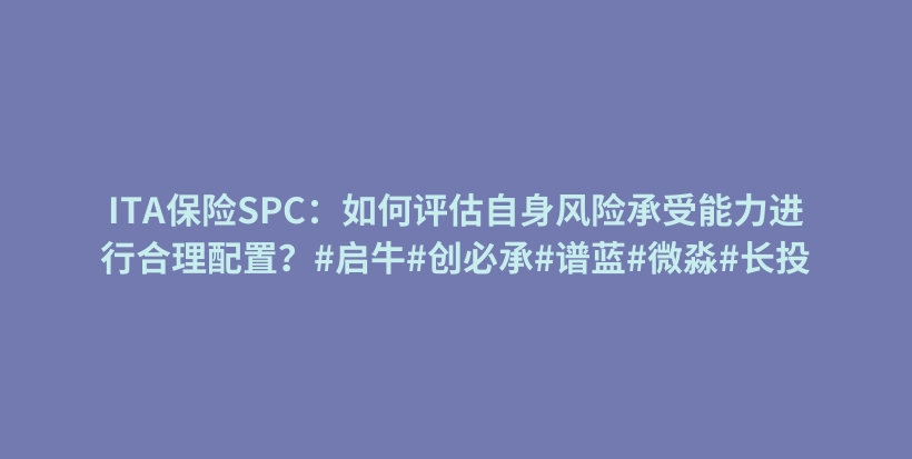 ITA保险SPC：如何评估自身风险承受能力进行合理配置？#启牛#创必承#谱蓝#微淼#长投插图