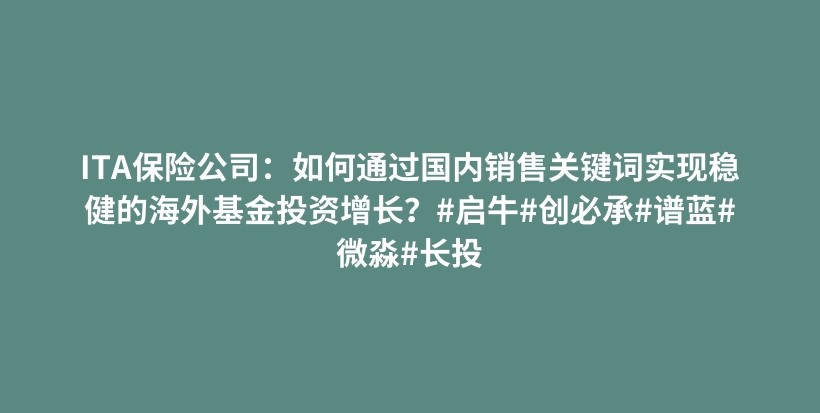 ITA保险公司：如何通过国内销售关键词实现稳健的海外基金投资增长？#启牛#创必承#谱蓝#微淼#长投插图